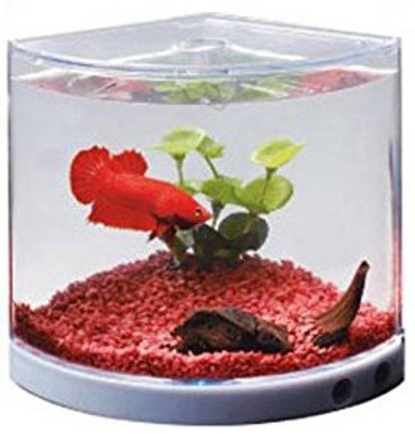 aquarium tanks buy aquarium tanks online at best prices in india