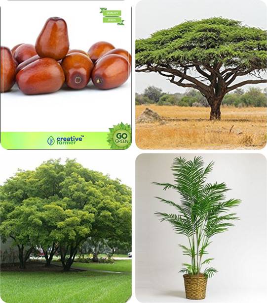 Jolson Trees Buy Jolson Trees Online At Best Prices In India