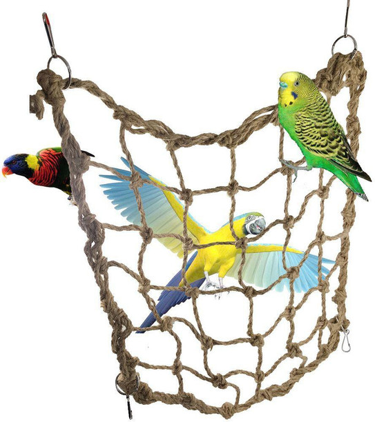 parrot toys online