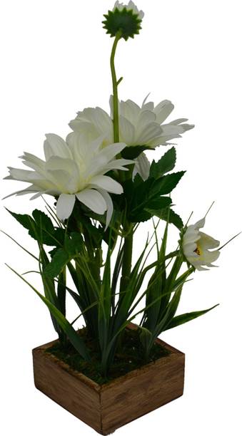 Nature Flowers Plants Vases Buy Nature Flowers Plants