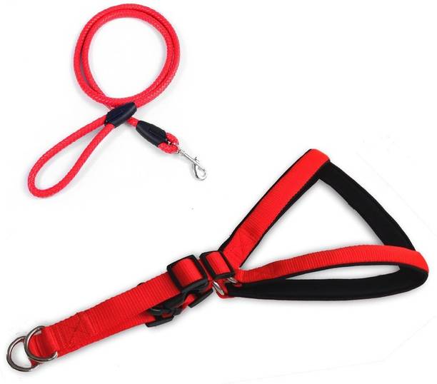 Dog Collars Buy Dog Belts Online At Best Prices In India Flipkart Com