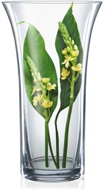 Bohemia Crystal Vases Buy Bohemia Crystal Vases Online At Best