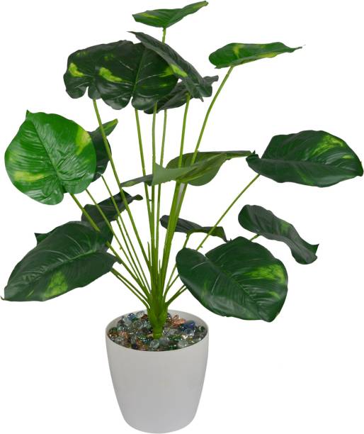 fancymart Artificial Indoor Green Plant Real Touch Feel (size 2.5 ft /30 inchs/ 76 cms) without pot Wild Artificial Plant