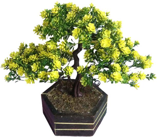 Artificial Plants Online At Best Prices In Kaykon Decorative Artificial Bonsai Plant Wild Tree For Indoor Decoration With Wooden Pot Natural Looking