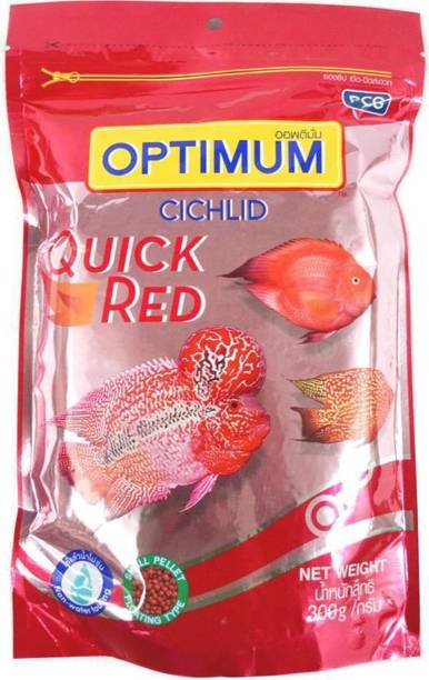 Fish Feeders Buy Fish Feeders Online At Best Prices In India