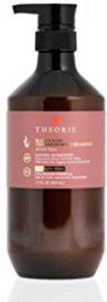 Theorie Hair Care Buy Theorie Hair Care Online At Best Prices In