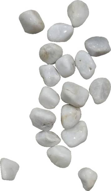 aquarium decoration buy aquarium plants pebbles substrates