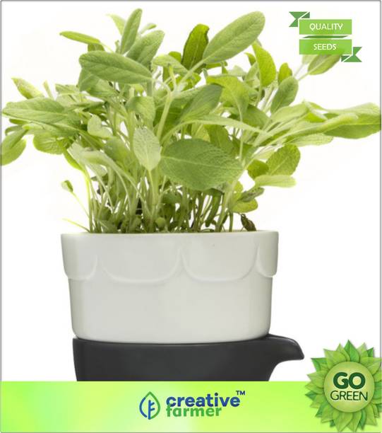 Rishi Herbs At Best S In India Creative Farmer Garden Seeds Seed