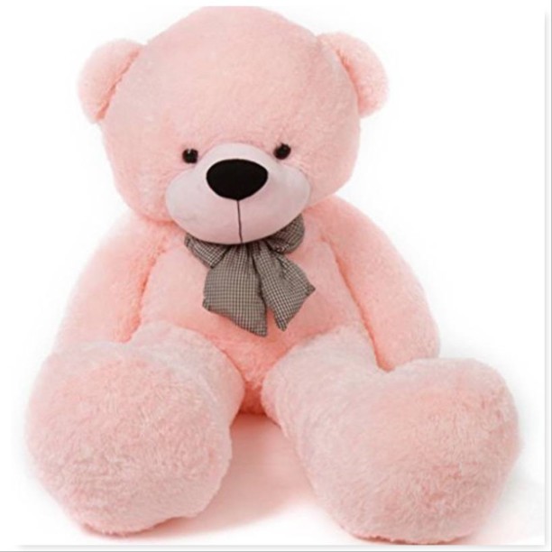 cute teddy online shopping