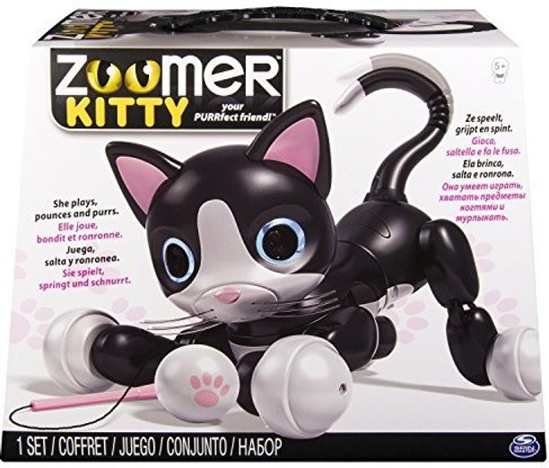 spin master cat toy