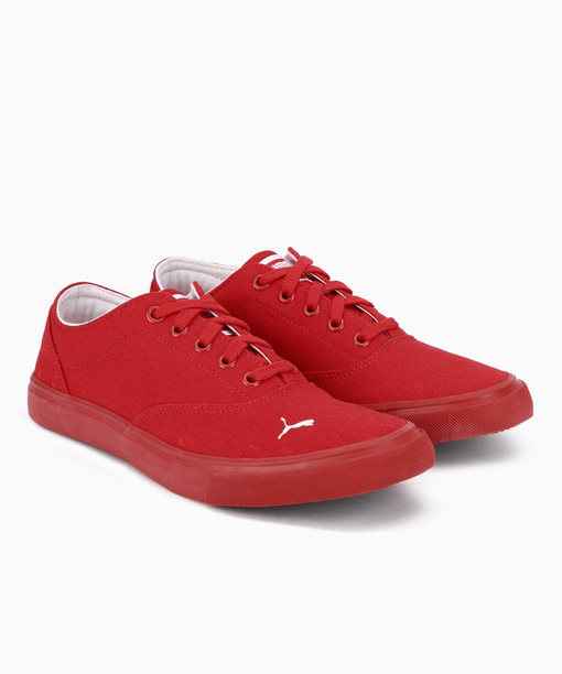 puma icon idp