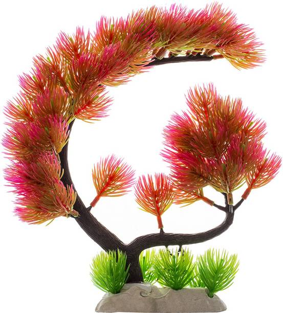 aquarium decoration buy aquarium plants pebbles substrates