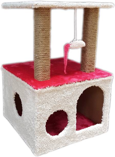 Great Look Picked Up New Arrival Cat Tree India Ucthefuture Org