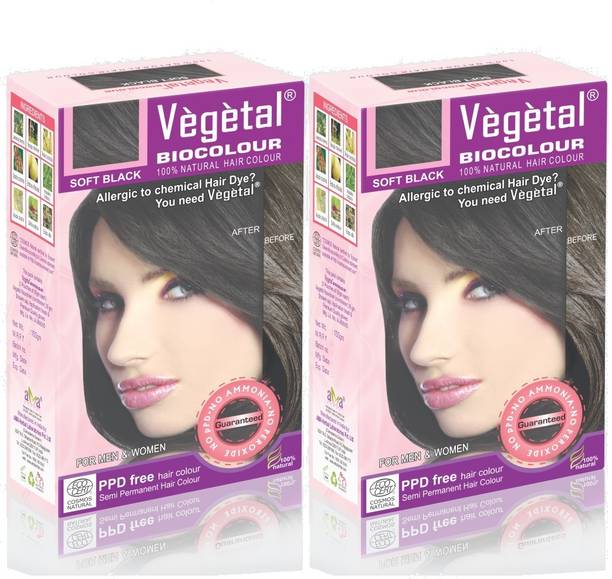 Vegetal Hair Colors Online At Best Prices Vegetal Soft Black 50 Gm 2 Hair Color