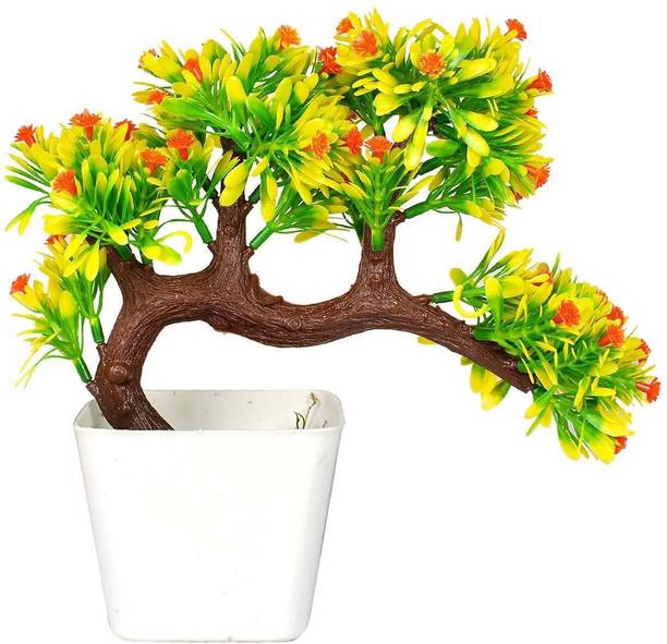 Plant Interior Design New Decorating Ideas Plant Interior Design New Decorating Ideas