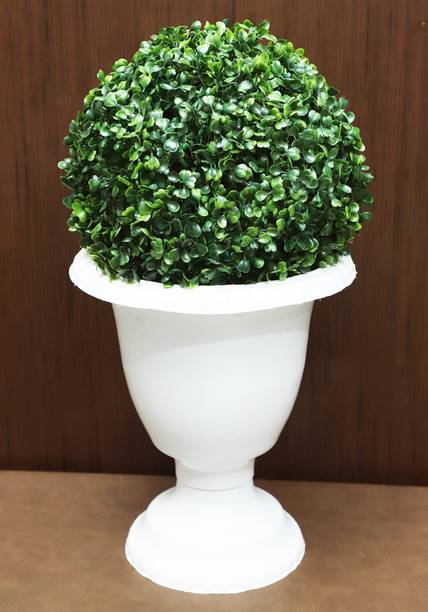 Progallery Vases Buy Progallery Vases Online At Best Prices In