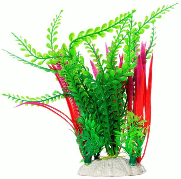 aquarium decoration buy aquarium plants pebbles substrates