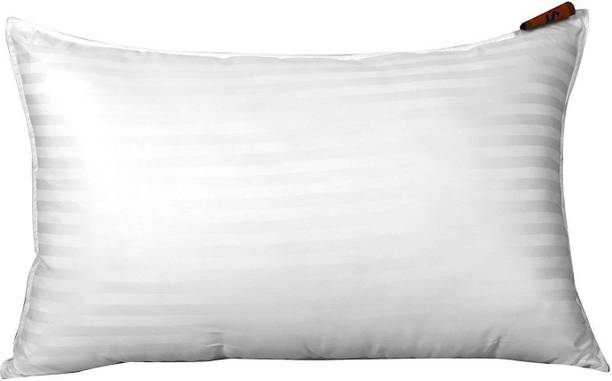 Ivaan Pillows Buy Ivaan Pillows Online At Best Prices In India