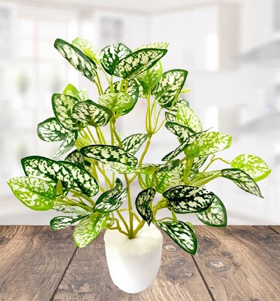 Plants Online - litleo bring good luck moneypla!   nt for home workplace gift bonsai artificial plant with pot
