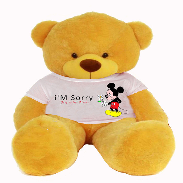sorry teddy bear online