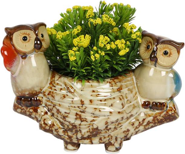 Aapno Rajasthan Home Decor Buy Aapno Rajasthan Home Decor Online