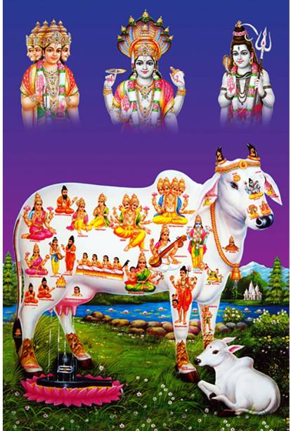 Poster N frame Kamdhenu containing various deities within her body / Brahma Vishnu Mahesh / Shivji / Shiva / Shivlinga / Om / Surabhi / The Mother of Cows / Mata Ji / Hinduism UV Textured Art Print Wall Poster unframed (Rolled) Paper Print