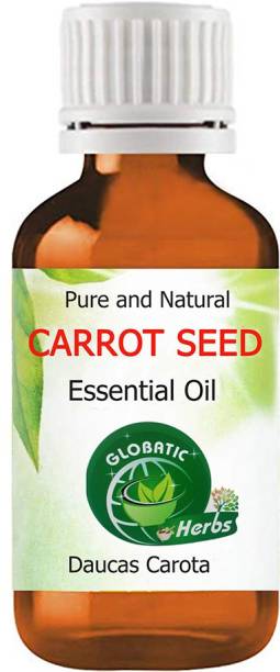 GLOBATIC Herbs CARROT SEED Oil 10(Daucus Carota )100% Natural and Pure