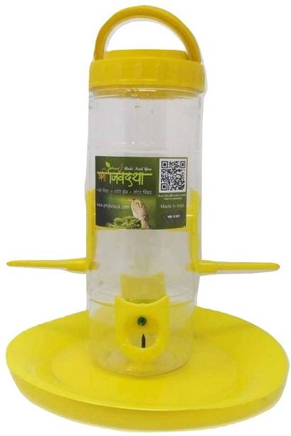 Designer Birds Buy Designer Birds Online At Best Prices In India