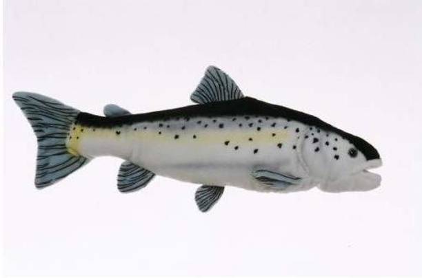 Cabin Critters Toys Buy Cabin Critters Toys Online At Best