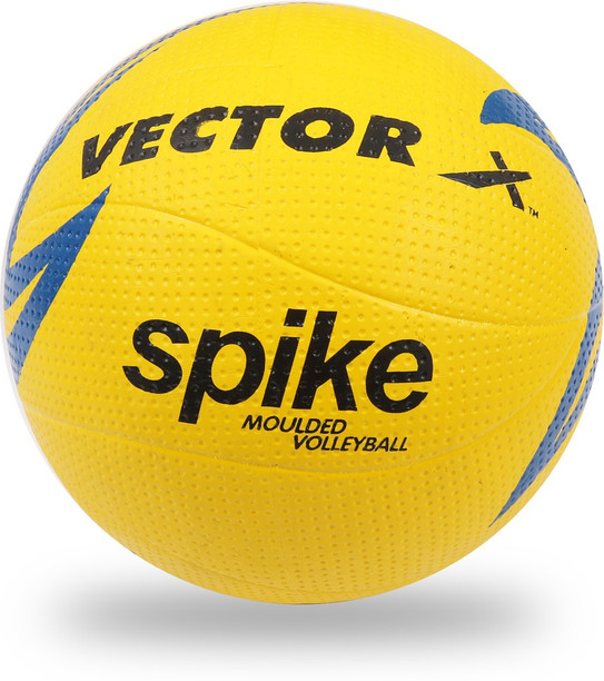 Volleyball cost