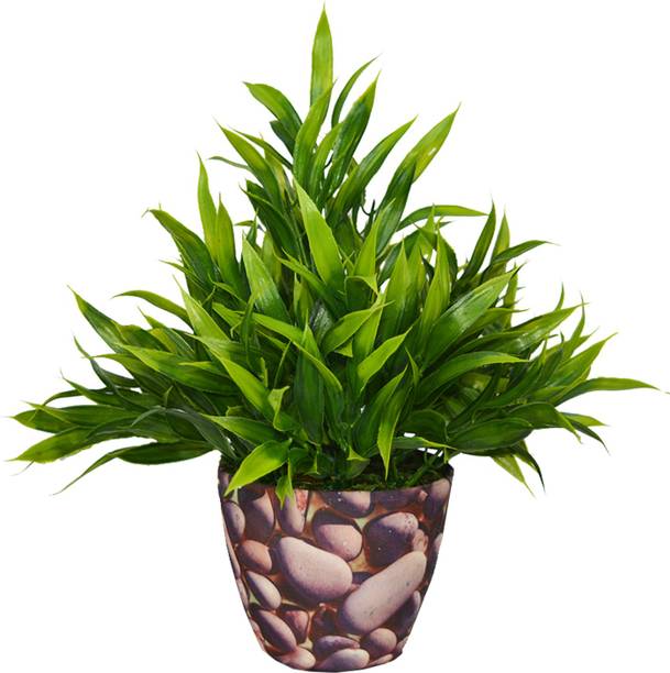 Artificial Plants Buy Artificial Plants Online Starting At Rs 89