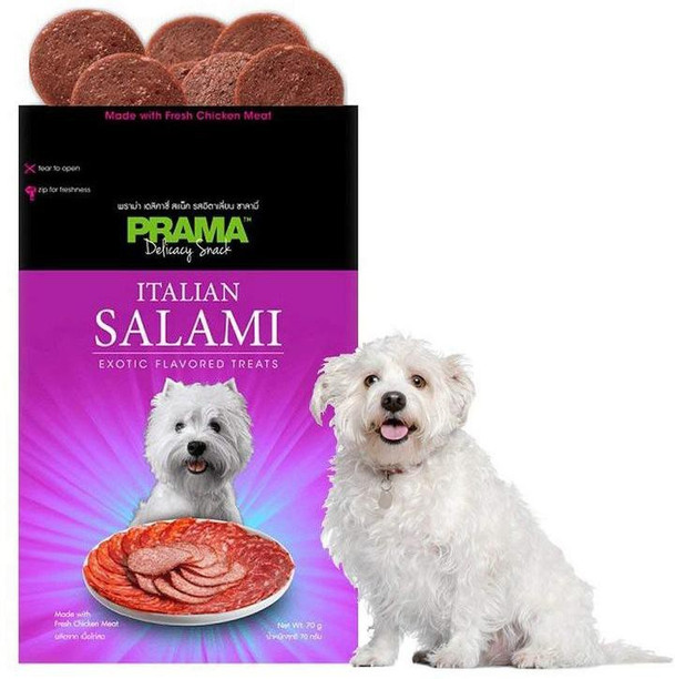 dog accessories flipkart