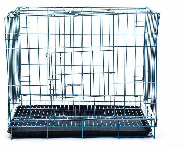 Shafire Cats Buy Shafire Cats Online At Best Prices In India