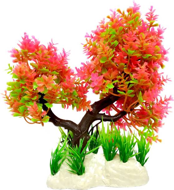 Aquarium Plant Anchors Buy Aquarium Plant Anchors Online At Best