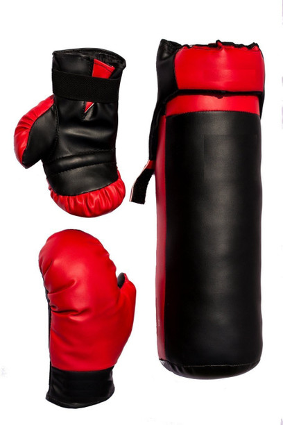 aurionpro boxing kit