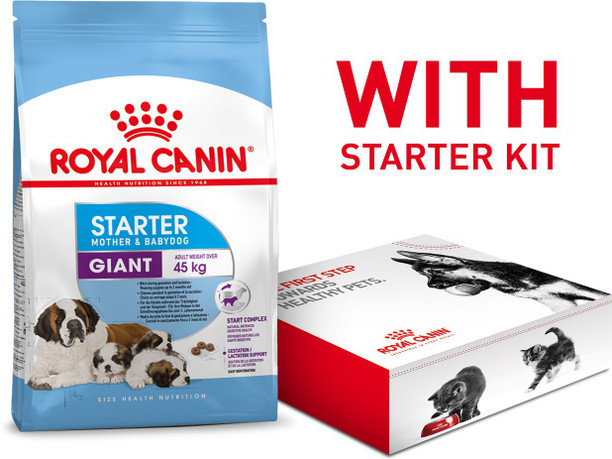 royal canin mini starter 4kg price