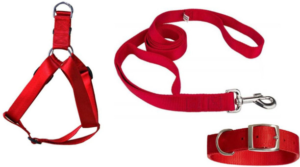 dog body belt flipkart