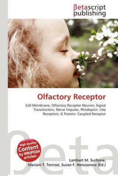 Olfactory Receptor