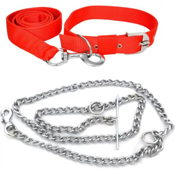 Dog belt near me Clearance