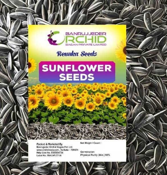 JJ FEEDS Sunflower Seeds for Bird 250 Gram, White Striped Sunflower for All Birds 0.35 kg Dry Adult, Young Bird Food