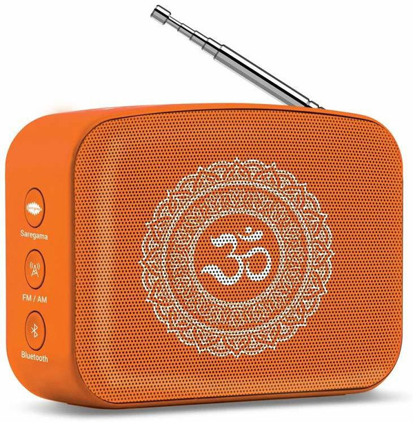 saregama carvaan on flipkart