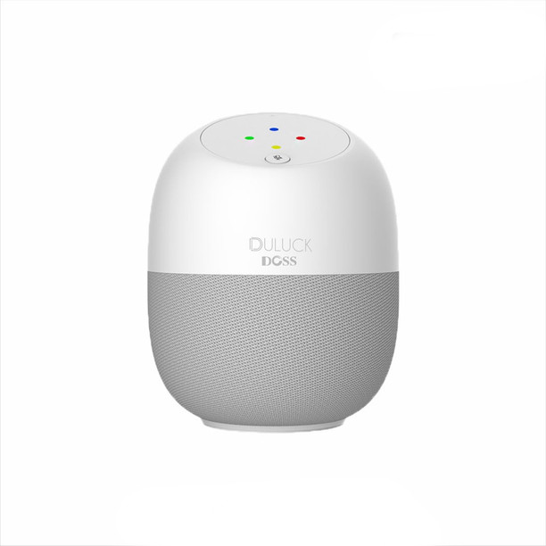 alexa speaker flipkart