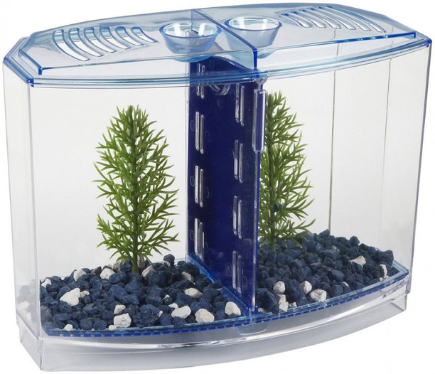 fiber fish tank online