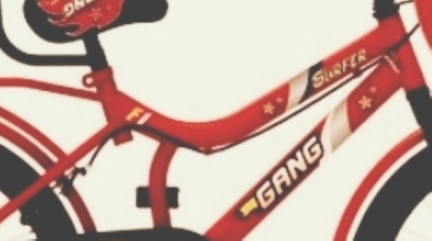 Gang Cycles - Buy Gang Cycles Online at 