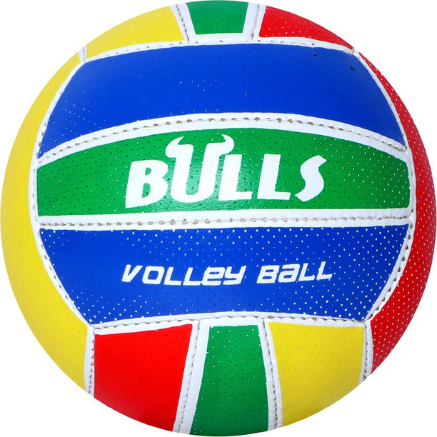 team volleyballs