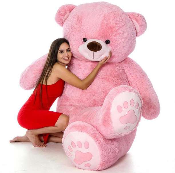 teddy bear flipkart price