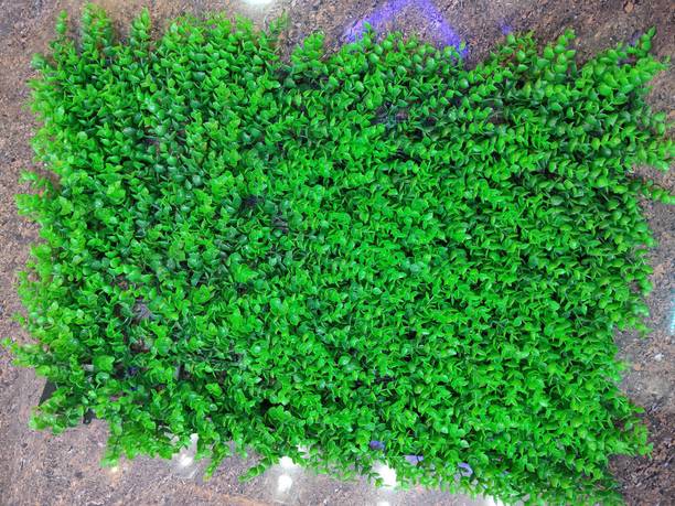 Wallpaper Decor artificial grass wall ideas For Android
