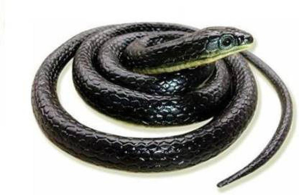 remote control snake big w