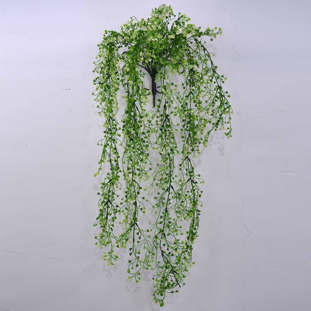 fancymart Shell Hanging without stand Wild Artificial Plant