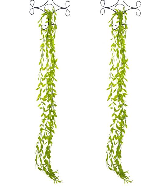 fancymart (Set of 2 ) Leaves Hanging without stand Wild Artificial Plant